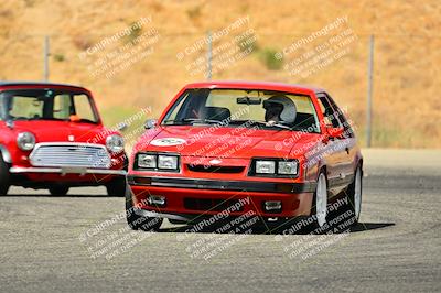 media/Sep-07-2024-Extreme Speed (Sat) [[dfc0b31d10]]/Blue Group/Session 3-Turn 14/